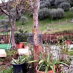 Gentile Bed & Breakfast Castelbuono (Sicily)