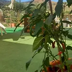 Gentile * Castelbuono (Sicily)