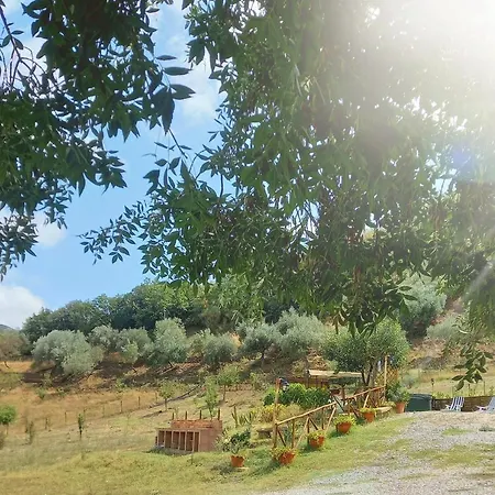 Bed & Breakfast Gentile Castelbuono (Sicily)